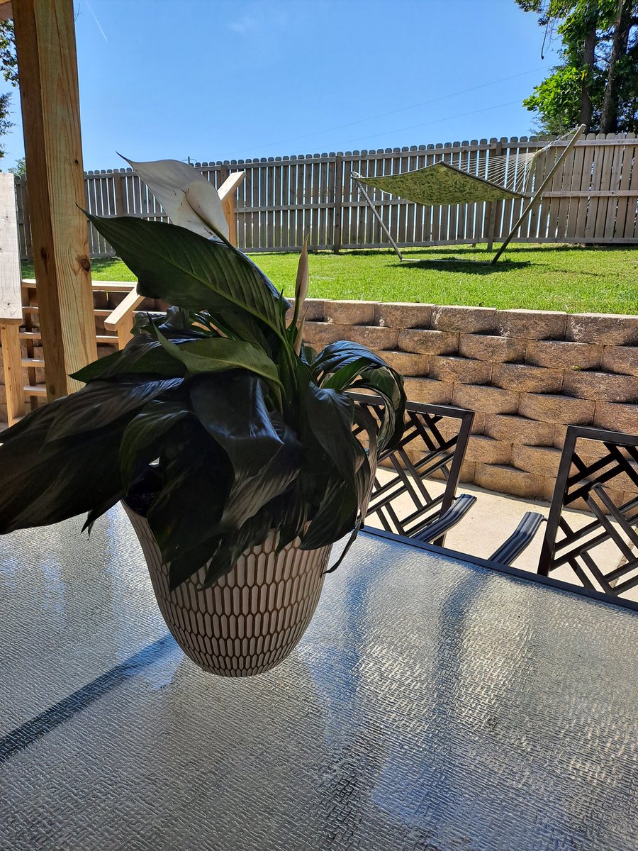DNDavis15's tweet photo. clear skies, sunshine, a fresh breeze, &amp; #SublimeRadio @Spotify https://t.co/rY7htAqvRX