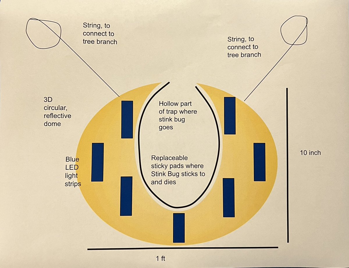 Erica Camilo tweet media