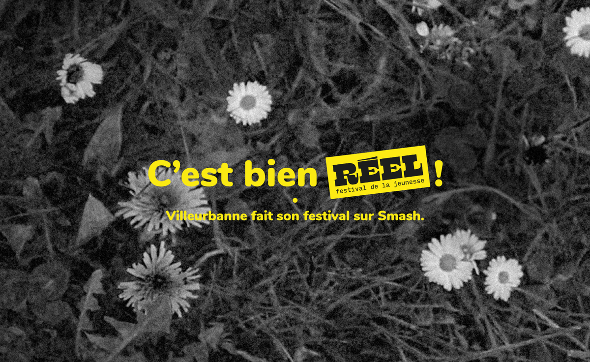 Smash 🇫🇷 tweet media