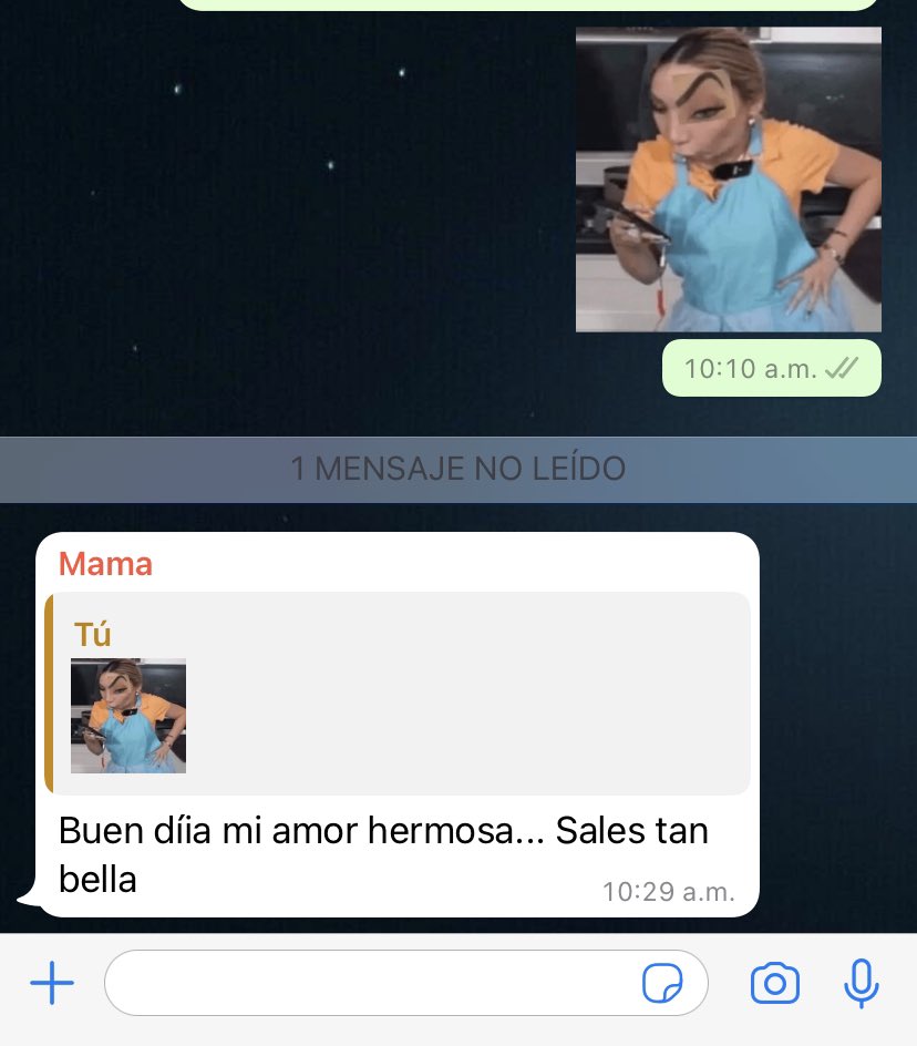 Ok pero mi mamá pensando que soy el sticker de la Daniela rodrice jjajajajsj