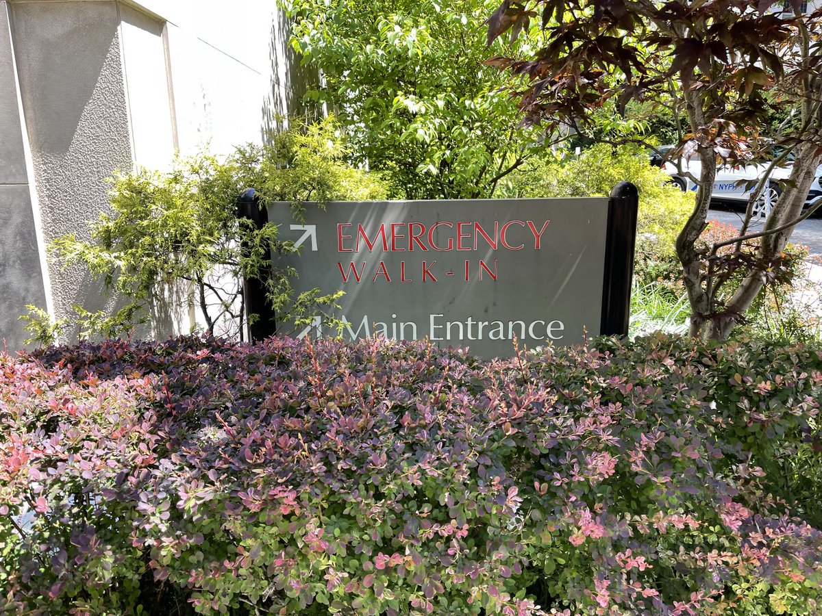 ChrisPawelski's tweet image. My NYP doctor has sent me to the ER. They can get blood work results much faster. Dr said the collagen has done great work. May be my meds. #checkingitout