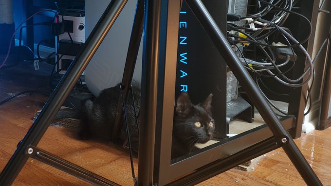 The twins are so freakin SMOL Please use my PC tower as a scale reference for Osiris here lol https://t<a href="/tag/cosplay"class="tags"><span>#cosplay</span></a><a href="/tag/scifi"class="tags"><span>#scifi</span></a><a href="/tag/dnd"class="tags"><span>#dnd</span></a><a href="/tag/theexpanse"class="tags"><span>#theexpanse</span></a><a href="/tag/supportsmallstreams"class="tags"><span>#supportsmallstreams</span></a>