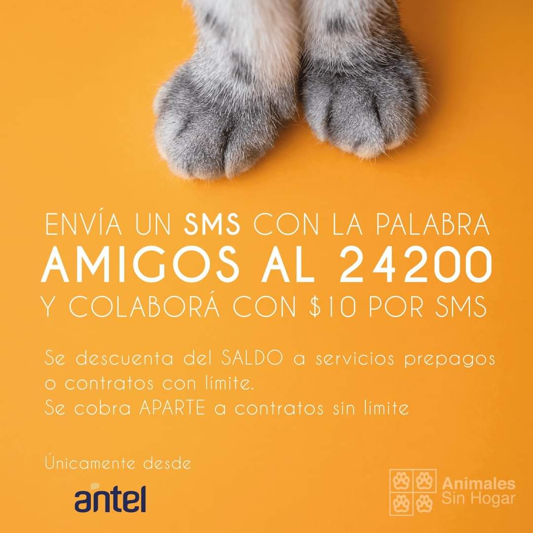 Hoy!! No olviden ayudarnos con el saldo solidario! 🧡
¡Sms al 24200 con la palabra AMIGOS!

Se termina el mes, y podes donar el saldo que te sobra de tu móvil Antel! ⠀
Enviando la palabra AMIGOS al 24200 donas 10 pesos por mensaje.⠀