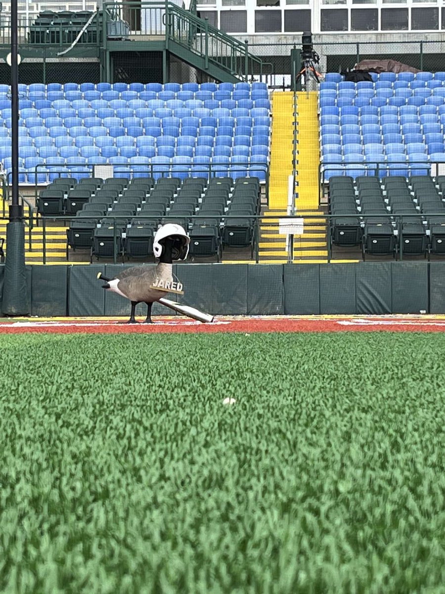HonkerNation's tweet photo. Jared decided to try an at bat at the Cage.   Heard he had a triple. https://t.co/QPTkpnpPVK
