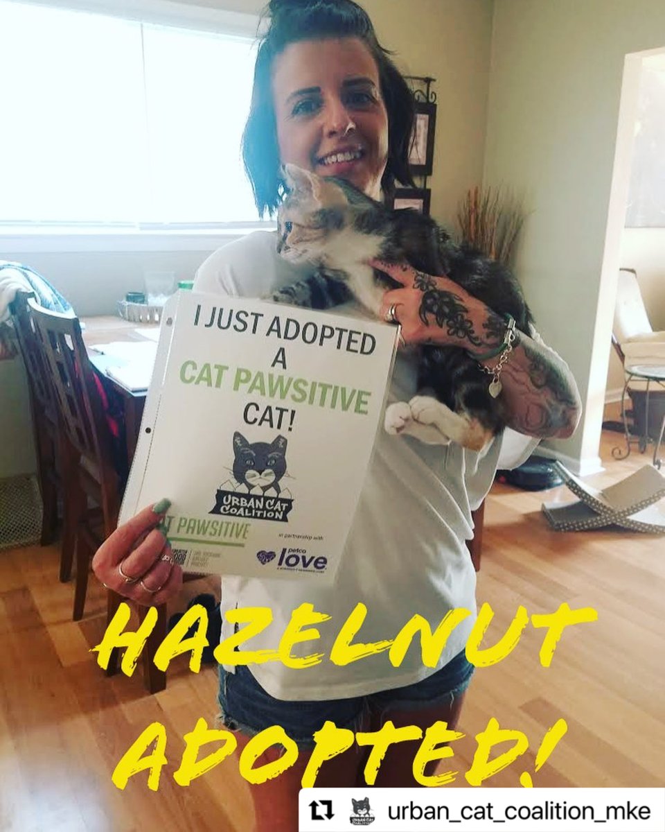 JGalaxyProject's tweet photo. Hazelnut adopted! Another Cat Pawsitive cat from Urban Cat Coalition found their forever home.😸 The #CatPawsitive program uses #clickertraining to help cats get adopted. Who doesn’t love a high-fivin’ cat?? Thank you to @petcolove for helping make adoptions like this possible!💚 https://t.co/Nqm7fk5la7