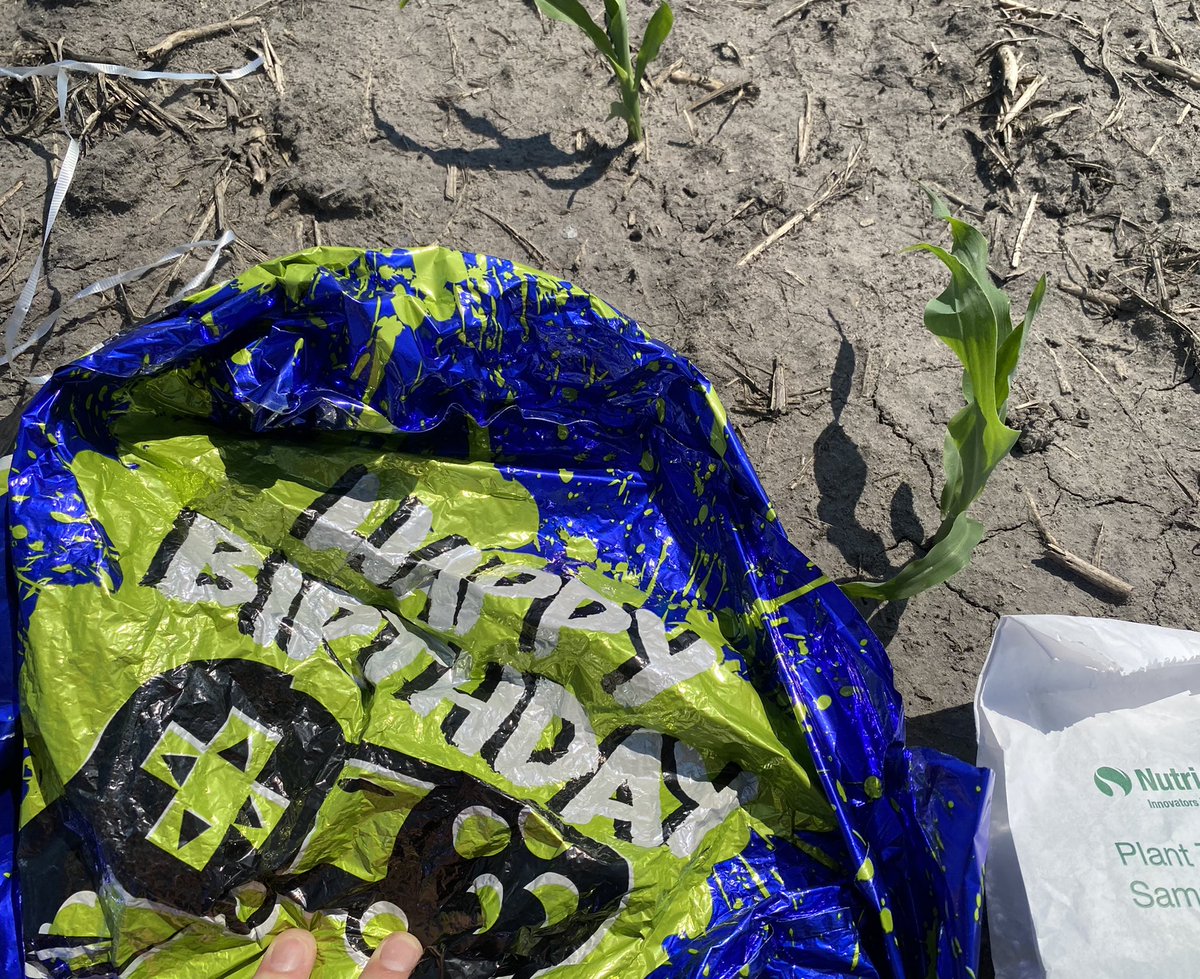 BryanSten3's tweet photo. The gift that keeps on giving! Starting to get a collection already.
#dontletgo #comingtoafieldnearyou https://t.co/eyFy0n0mC1
