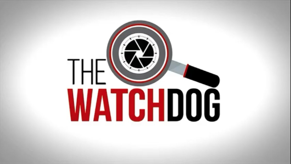 Harambee4Work's tweet image. Catch @Harambee4Work's Zeng Msimang this evening on @SABCNews's #TheWatchdog at 20h00. She will be  discussing @StatsSA's QLFS Q1 findings released today with @vuyo_mvoko &amp;amp; @NYDARSA's Waseem Carrim. Tune in to @DStv 404.