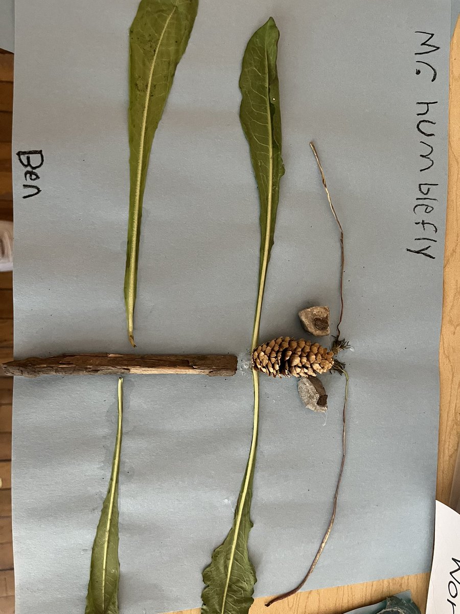 Mrs. Bondy tweet media