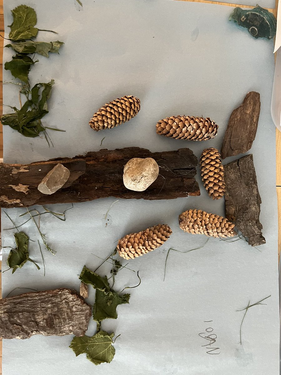 Mrs. Bondy tweet media