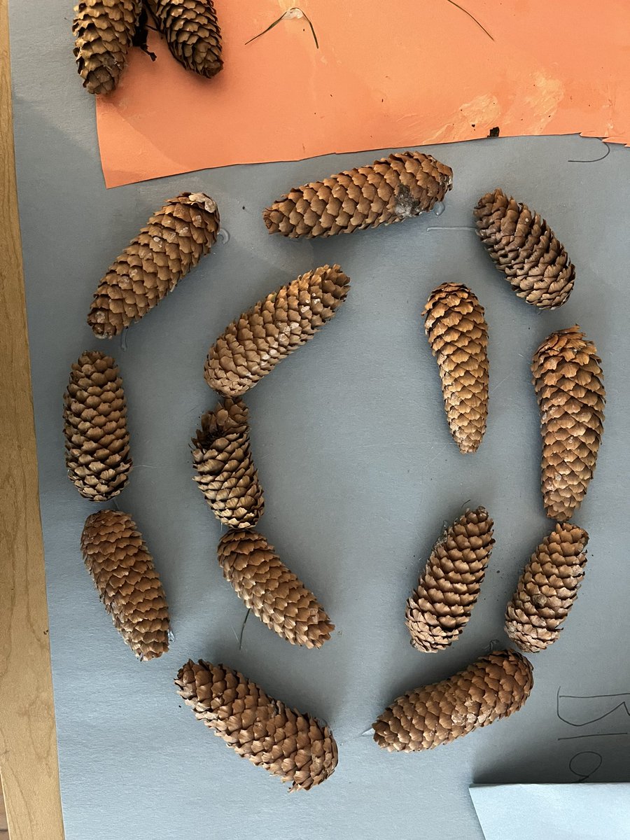 Mrs. Bondy tweet media