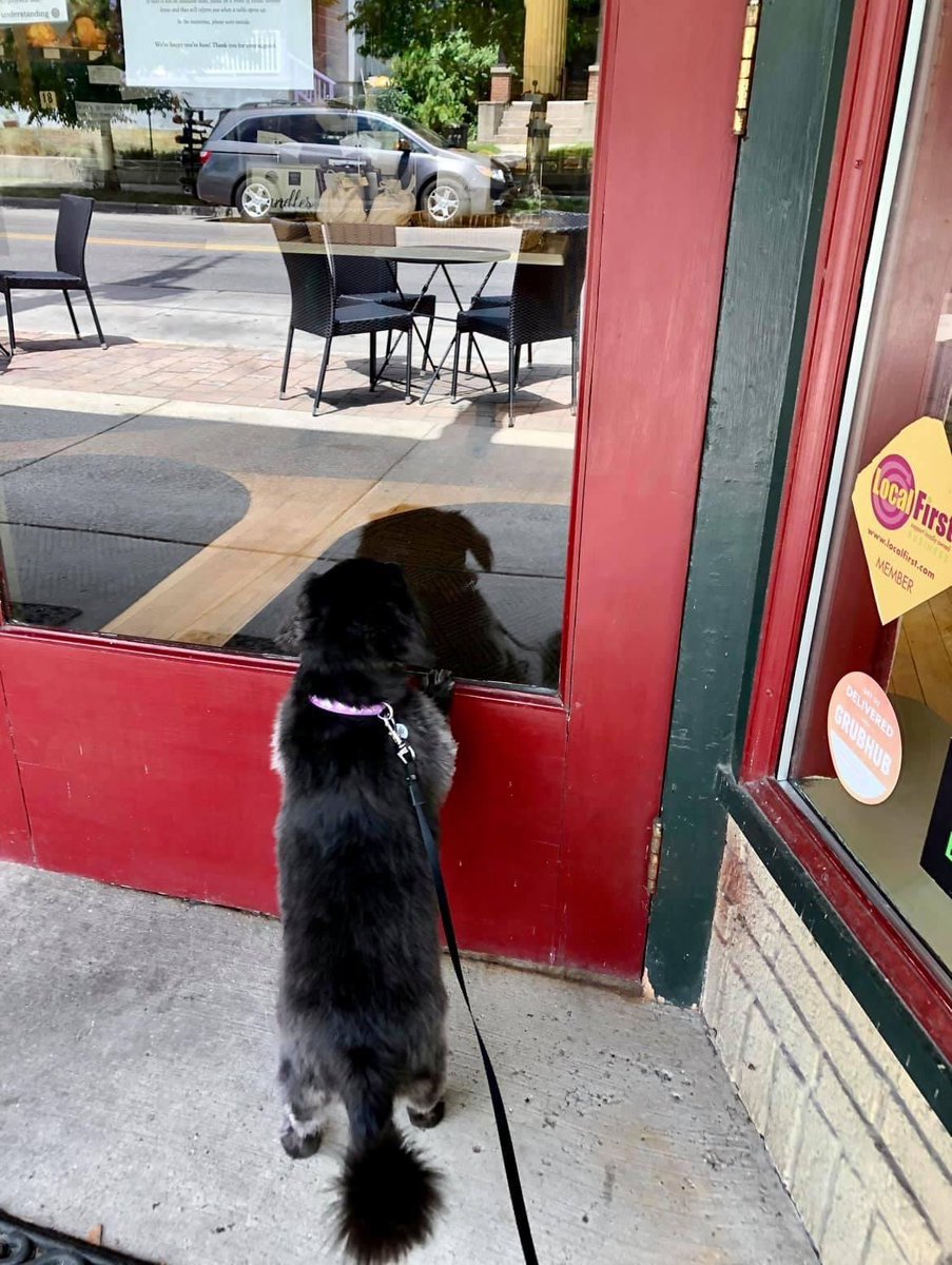 wealthystbakery's tweet photo. Looking for a paw-fect outing with your favorite furry friend? 🐾 Stop by Wealthy Street Bakery! While all paws have to remain outside, that won’t stop you and your pup from enjoying some delicious food and the beautiful weather on our patio! https://t.co/wsCfO7LIRP