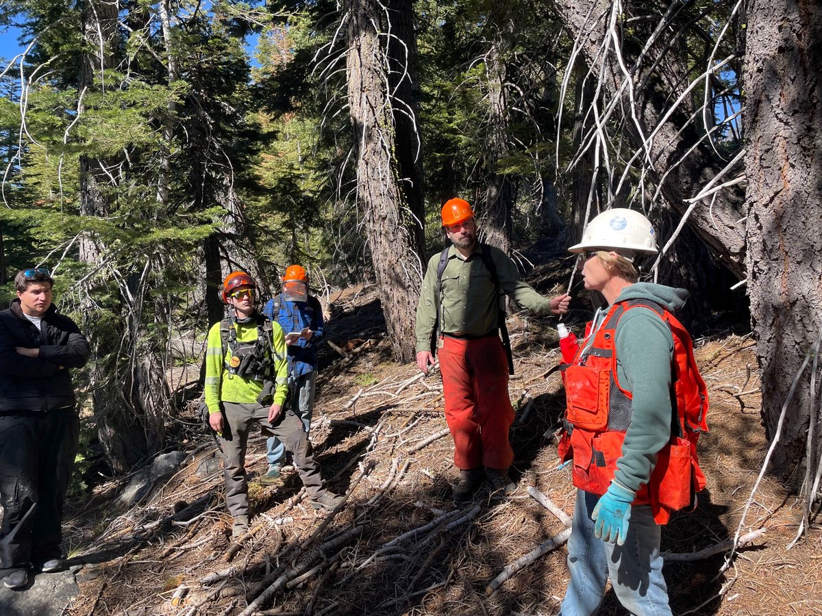 MBG_since1921's tweet photo. Our Registered Professional #Foresters are knowledge sharing forest management &amp; #fire safety work! Camp Wamp was awarded a grant to continue efforts in #forest #restoration, improving fire safety and resilience into the future. MB&amp;G is thrilled to be helping make this happen. https://t.co/ohnZzuvWoi