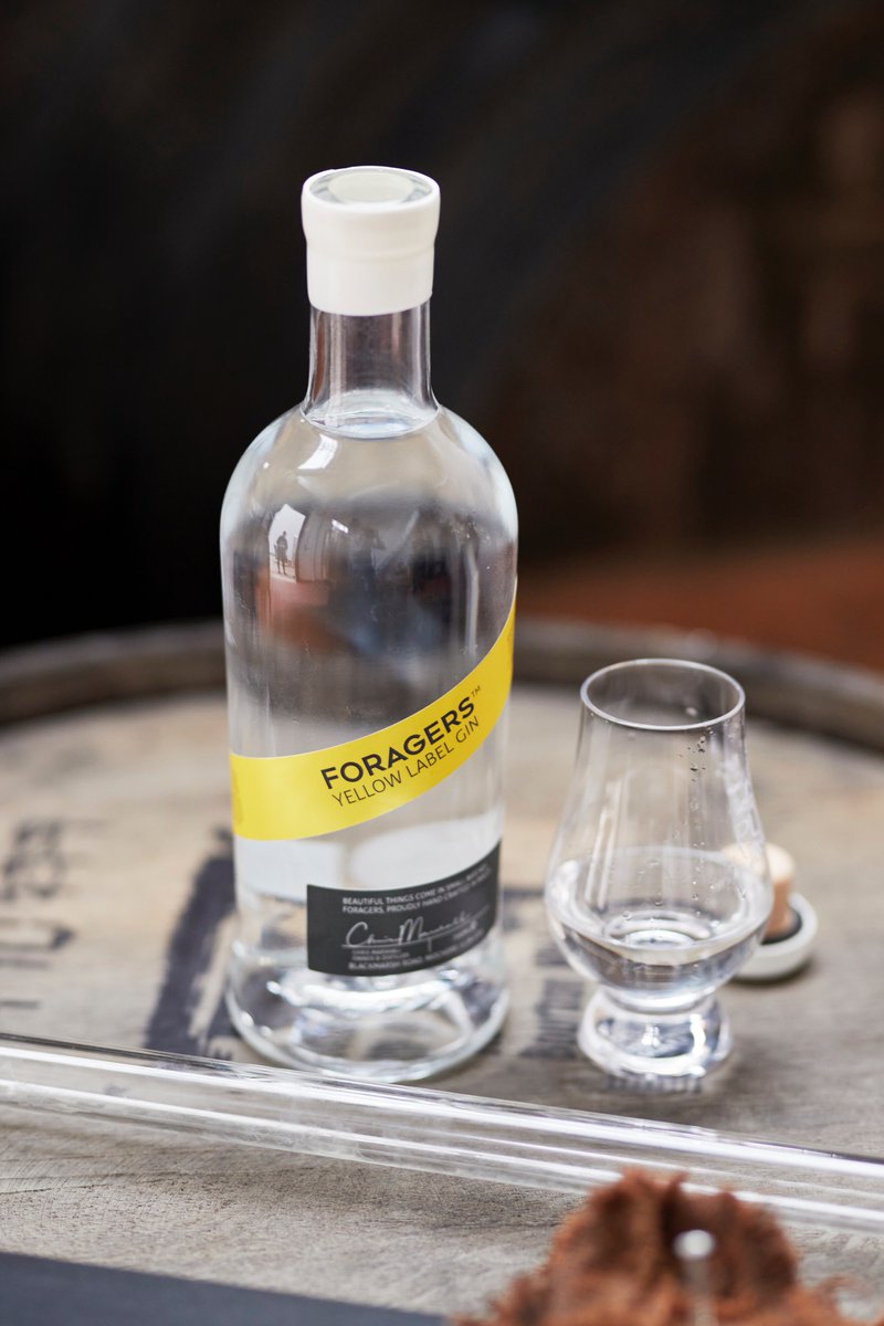 ForagersGin's tweet image. "Flamboyant aromas of angelica and fennel. Taste evolves to show some stewed apple sweetness. A heated finish that does have length." 
 - @theIWSC 
  
bit.ly/3JDi8d1