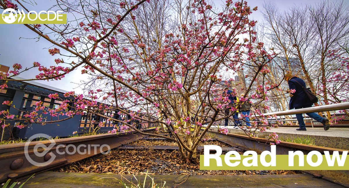 #DidYouKnow that 4⃣4⃣ % of #GDP in cities is at risk from #biodiversity and #nature loss? 🥀

🌳 How can #cities reset their relationship with nature? 

Check out our 🆕 #cogito blog to find out. ⤵️ 

🟢 bit.ly/cogito-bio
⚪️ <a href="/Tadashi_Paris/">Tadashi Matsumoto</a>