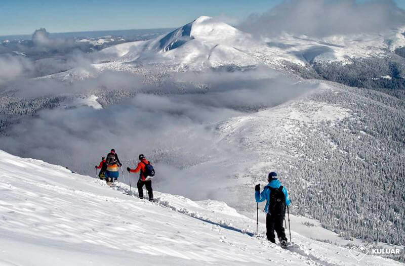 Stand with Ukraine tweet media