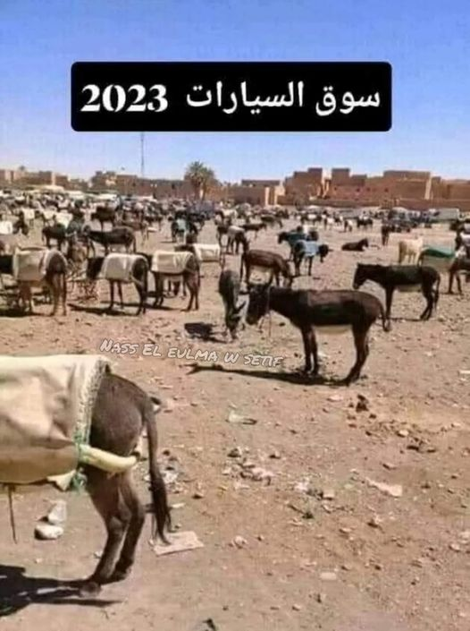 bleldz61's tweet photo. #الجزائر كل الأصناف ومنها المبردعة https://t.co/3kKzDd7EbL