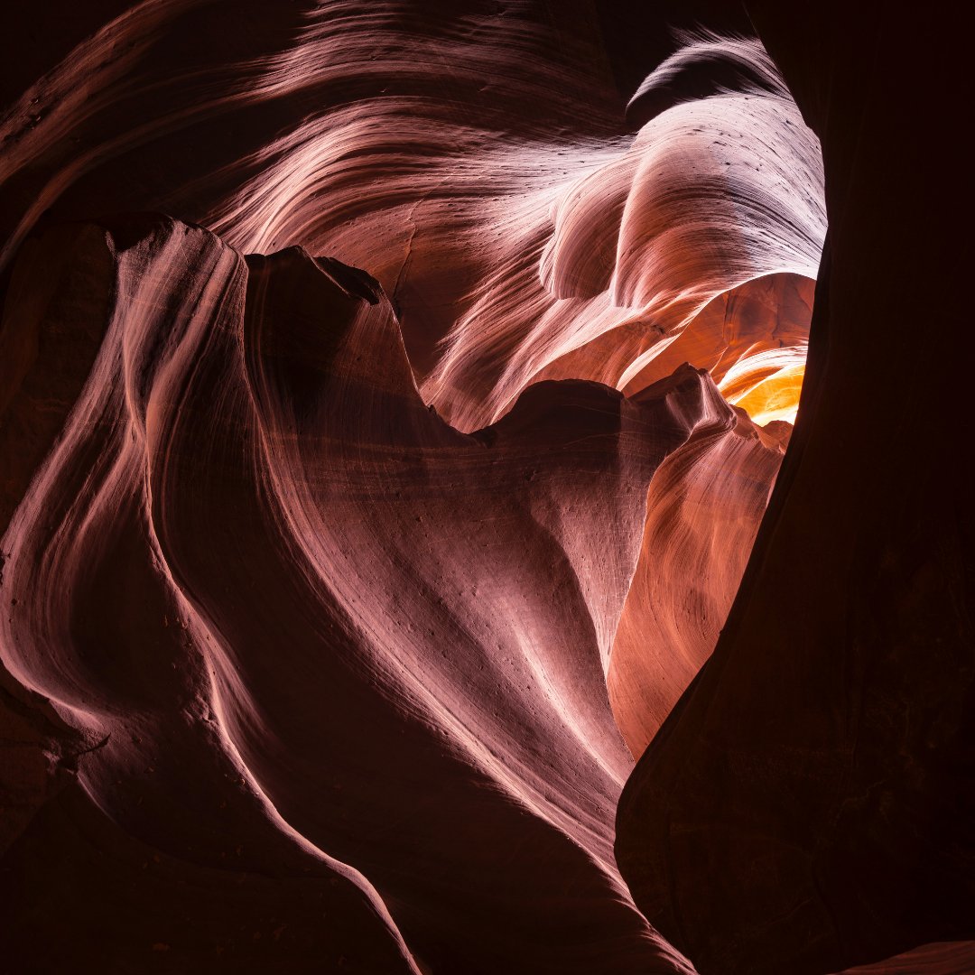 BioCertica's tweet image. When it comes to your #cardiovascular system, knowing your genetic #predisposition risk can help you to take good care of your heart. 

This test includes omega 3 fat, caffeine, cholesterol as well as your #risk of a heart attack, and many more.