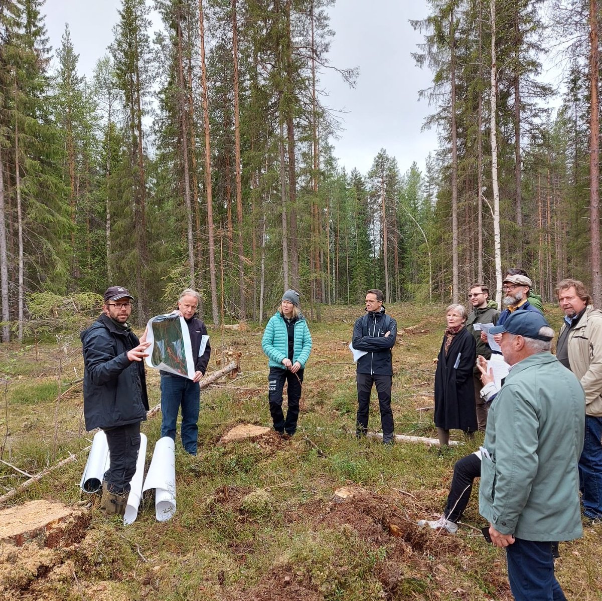 2 days of work in #Umeå to lay down the foundations of the new 🇫🇷🇸🇪 partnership on #forestry 🌲🌳.

Thanks to all participants for their strong commitment! @_SLU <a href="/Skogsstyrelsen/">Skogsstyrelsen</a> <a href="/ONF_Officiel/">Office national des forêts</a> <a href="/IGNFrance/">IGN France</a> <a href="/IF_Suede/">Institut français de Suède</a> <a href="/FRTreasury_Nord/">French Treasury in the Nordics</a> <a href="/INRAE_France/">INRAE</a> <a href="/Agri_Gouv/">Ministère Agriculture et Souveraineté alimentaire</a> @UU_University
(TBC ⤵️)