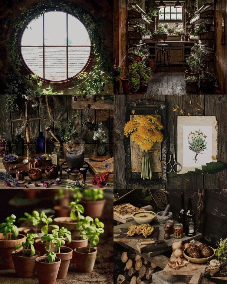 Cast a spell on my heart

🪴 renyang
✨ 6204k, oneshot
🧚‍♂️ magic au, witches, magical plant parents renyang, witch!rj

link: archiveofourown.org/works/39345018 <3