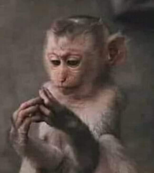 ليه بقي لما اكتب بوست عميق احاول امعمق فيه كده مشاعيري ومحاسيسي بتتريقوا عليا 🤔 هو انا بقيت تخصص هبل ولا ايه😲