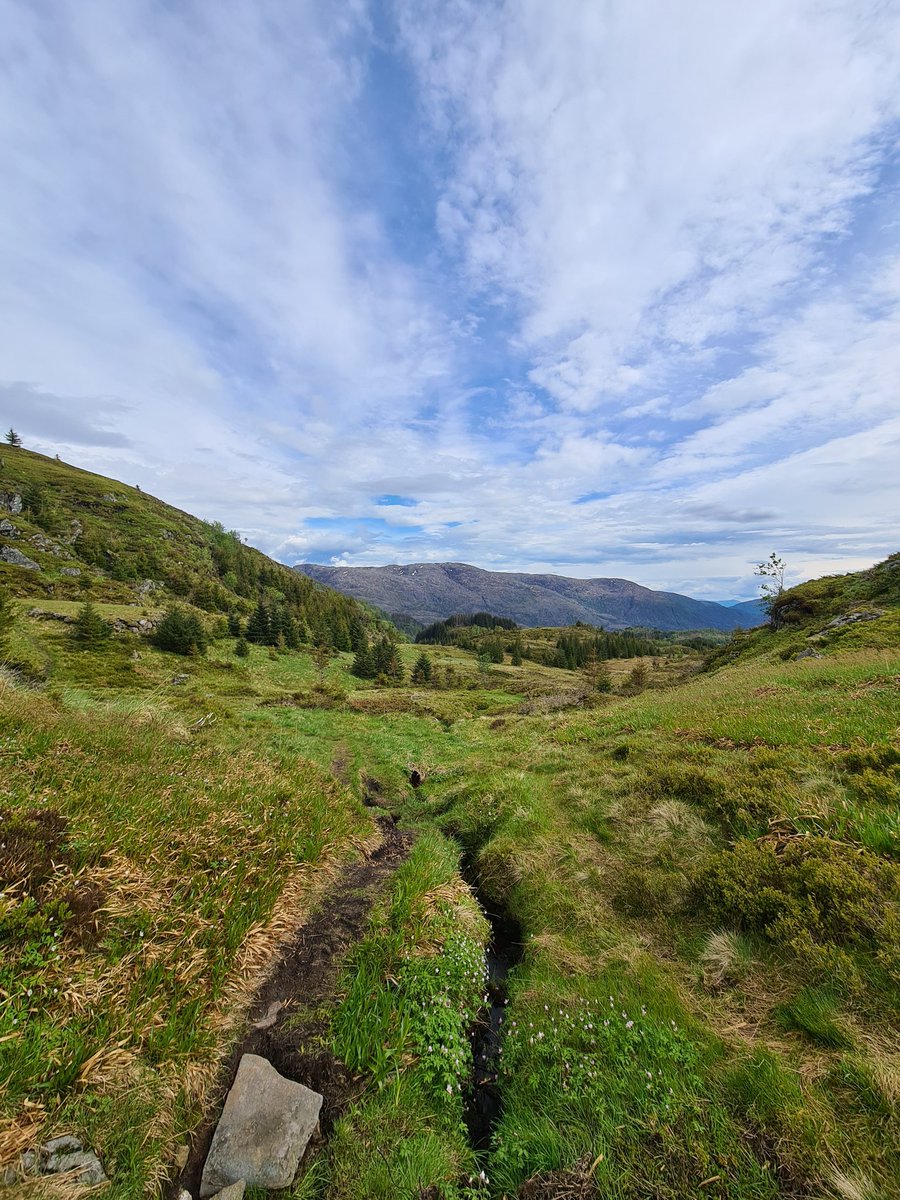 Oh Norway ❤🤍💙