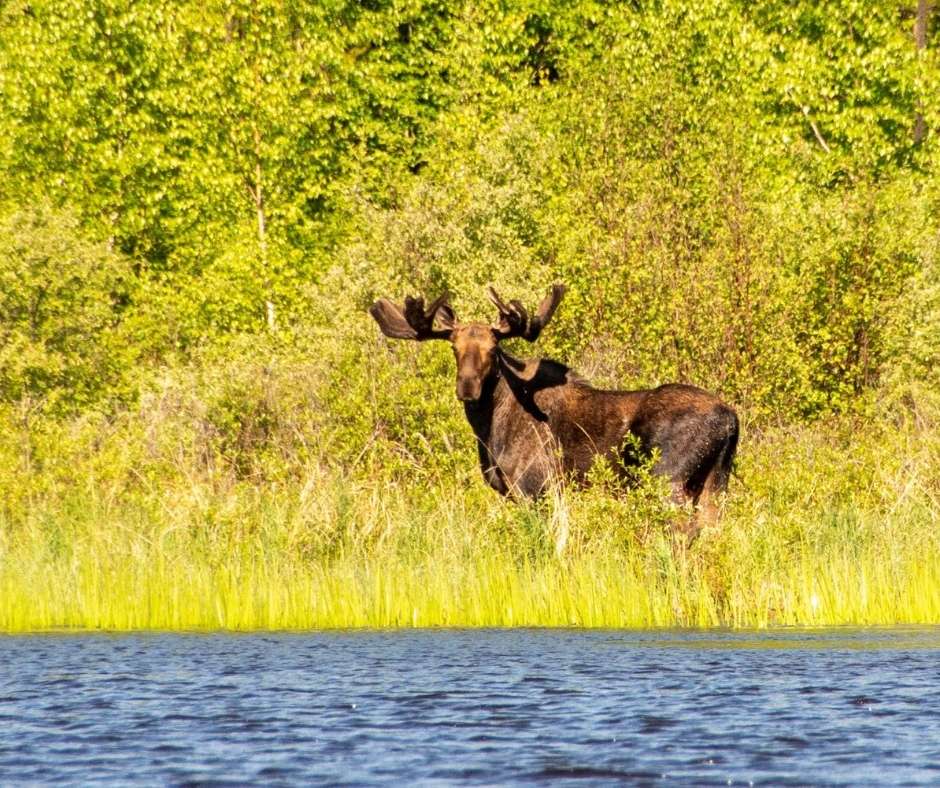 TravelReportMX's tweet photo. Preparados para vivir las aventuras más extremas con Churchill River Canoe Outfitters. @DestinationCAN @Saskatchewan #ExploreCAN #CanadaisOpen #ExploreSask #Travel #Adventures https://t.co/SsbYANMMnA
