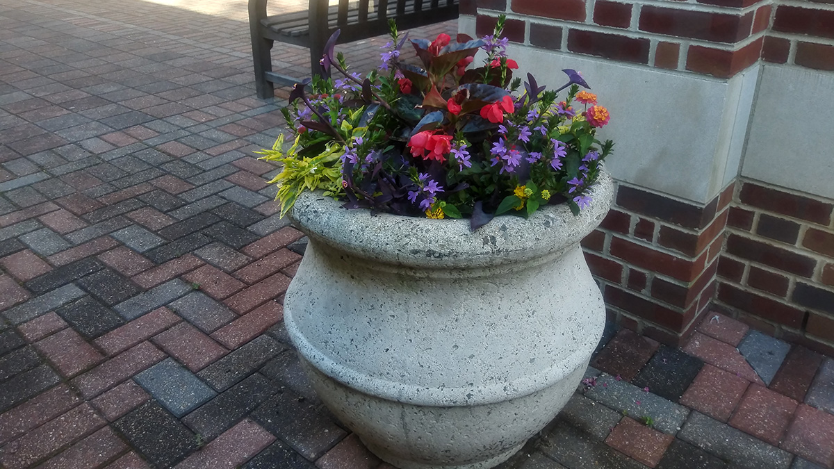JepsonSchool's tweet photo. Taking a look back at some of the beautiful May 🌺🌹🌷 as we close out the month! @urichmond @richmondas @UR_RobinsSchool @urspcs @URSpiderNetwork https://t.co/H6vE7fPe6y