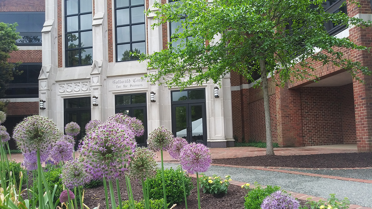 JepsonSchool's tweet photo. Taking a look back at some of the beautiful May 🌺🌹🌷 as we close out the month! @urichmond @richmondas @UR_RobinsSchool @urspcs @URSpiderNetwork https://t.co/H6vE7fPe6y