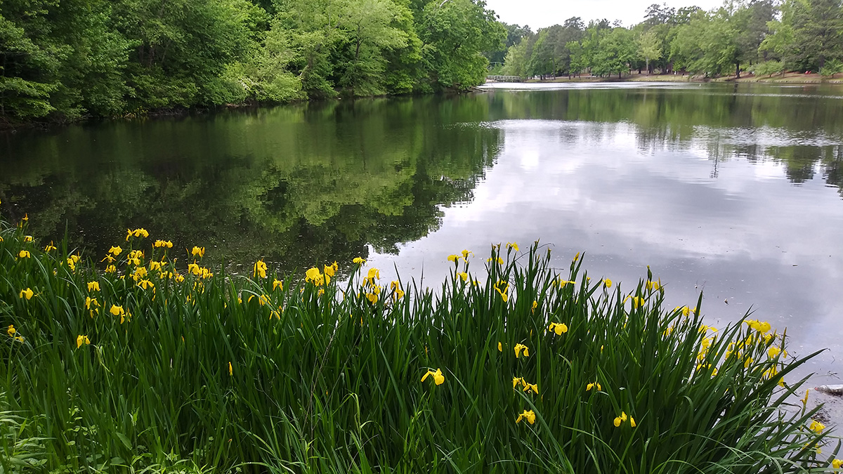 JepsonSchool's tweet photo. Taking a look back at some of the beautiful May 🌺🌹🌷 as we close out the month! @urichmond @richmondas @UR_RobinsSchool @urspcs @URSpiderNetwork https://t.co/H6vE7fPe6y