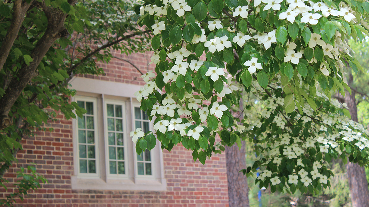 JepsonSchool's tweet photo. Taking a look back at some of the beautiful May 🌺🌹🌷 as we close out the month! @urichmond @richmondas @UR_RobinsSchool @urspcs @URSpiderNetwork https://t.co/H6vE7fPe6y