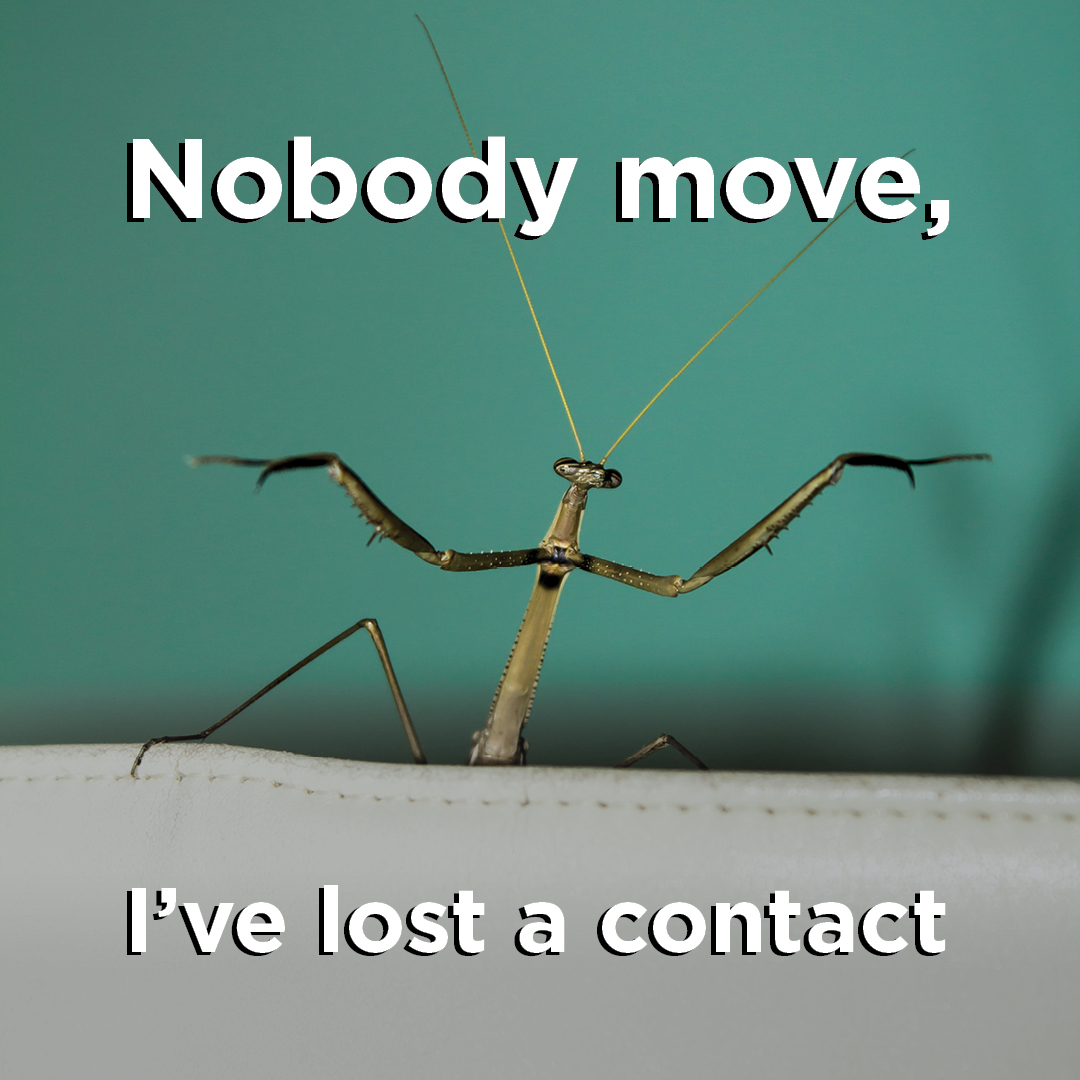 If you have damaged or lost your contacts, you can reorder them directly from our practice. Let our staff help you with your eye care needs.  Call our office to learn more.
