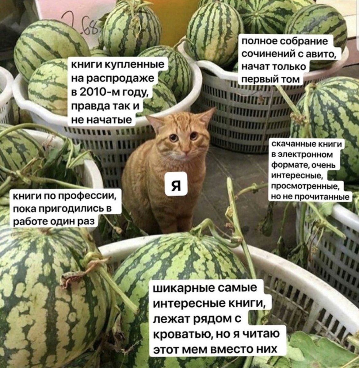 *звуки грусти*