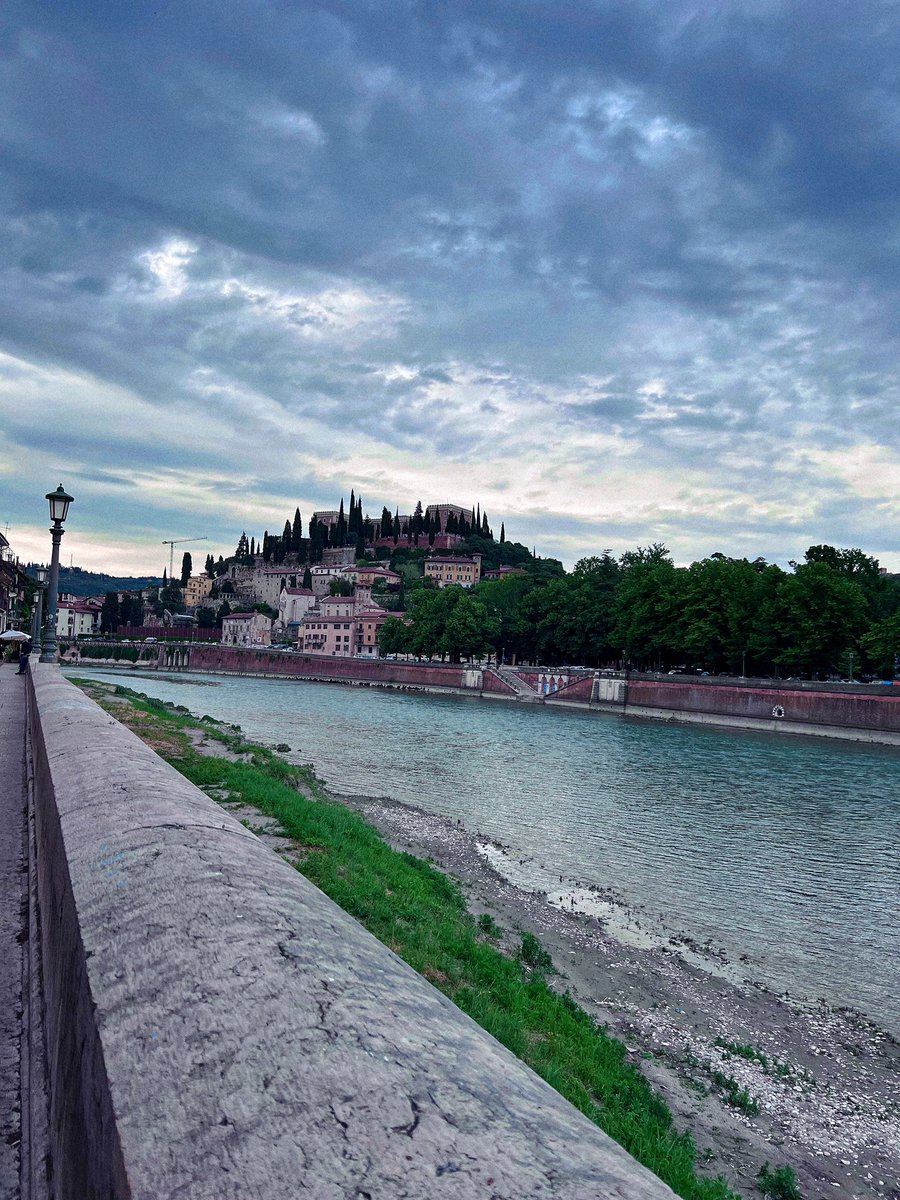 Sensory Neurophysiology Lab tweet media