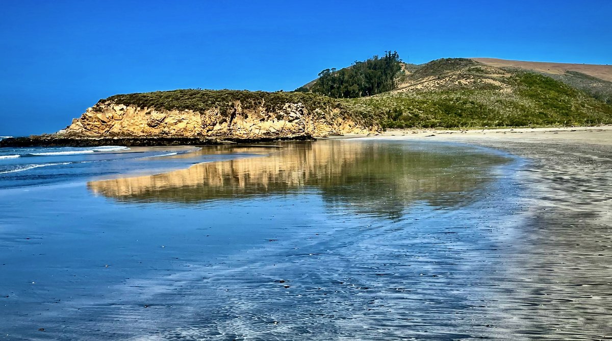 calparks's tweet photo. Did you visit any state parks this weekend? We hope you had a safe and enjoyable time wherever you spent it! Check out the views from Villa Creek Beach over at #EsteroBluffs State Park☀️
📸 by Peter D. Tillman at Estero Bluffs State Park via Flickr #CAStateParks https://t.co/MMjrz6dFEb