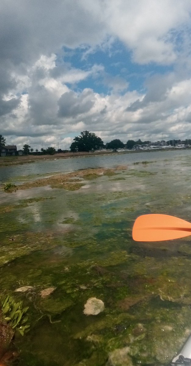 Fiona Woods tweet media