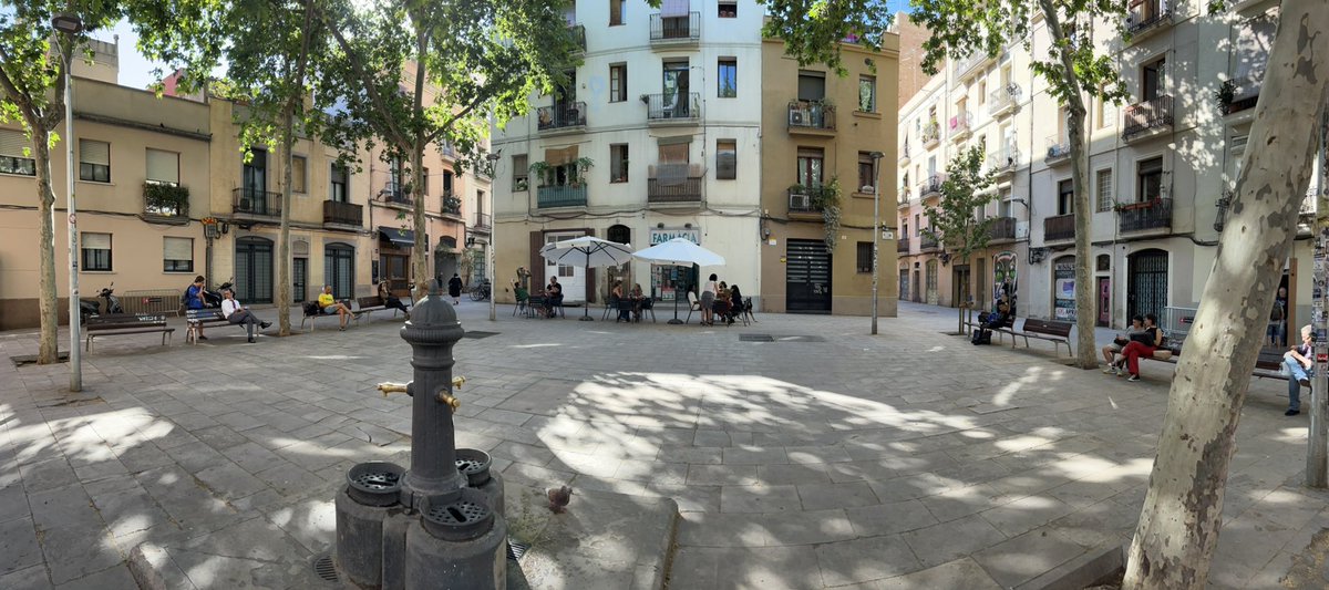 Michael Schwartz 🟡 tweet media