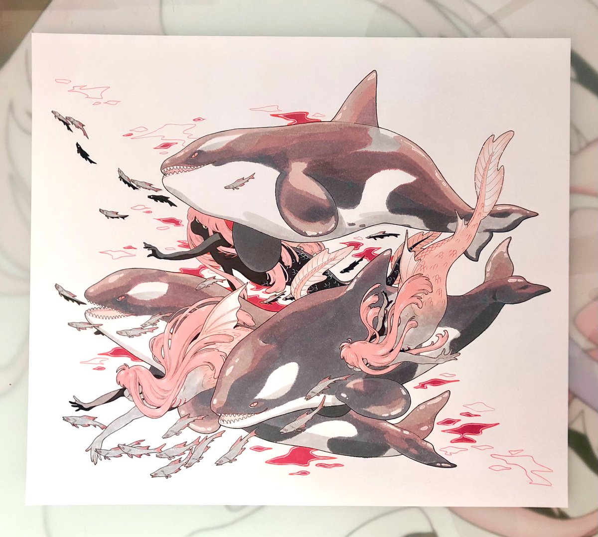 orca prints available in two sizes
8.5x11 &amp; 11x14

original marker art also for sale

mermay book is 
-4.25x8.5in
-31 illus on 14pgs
-colour foldout of 31st illustration

check it out here: https://t.co/BsYKVmC3FR 