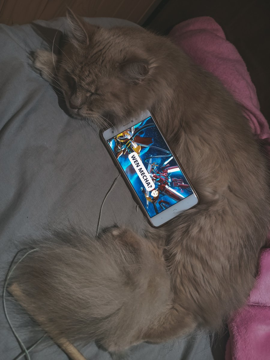 FGL_NFT's tweet photo. When even the cats start asking...it's time to let the dogs out!
Mecha World Alpha launch is now LIVE!

Land Owners can Quest. All others can log in &amp; view.
More features to be implemented soon!

https://t.co/W9hFHuRioQ https://t.co/X5MlkDIIWL