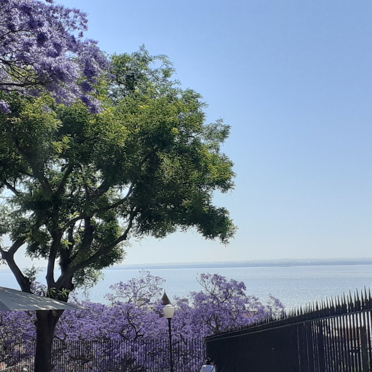 OppidHum's tweet photo. Super excited to start the conversation tonight!
I am really happy to have so many beautiful people joining us for this first step 🍀
Let's share our dreams.
Let's talk about our vision.
Let's listen to what is willing to emerge.
#OppidHum #regeneration #transition #vision https://t.co/1l4W1EG0la