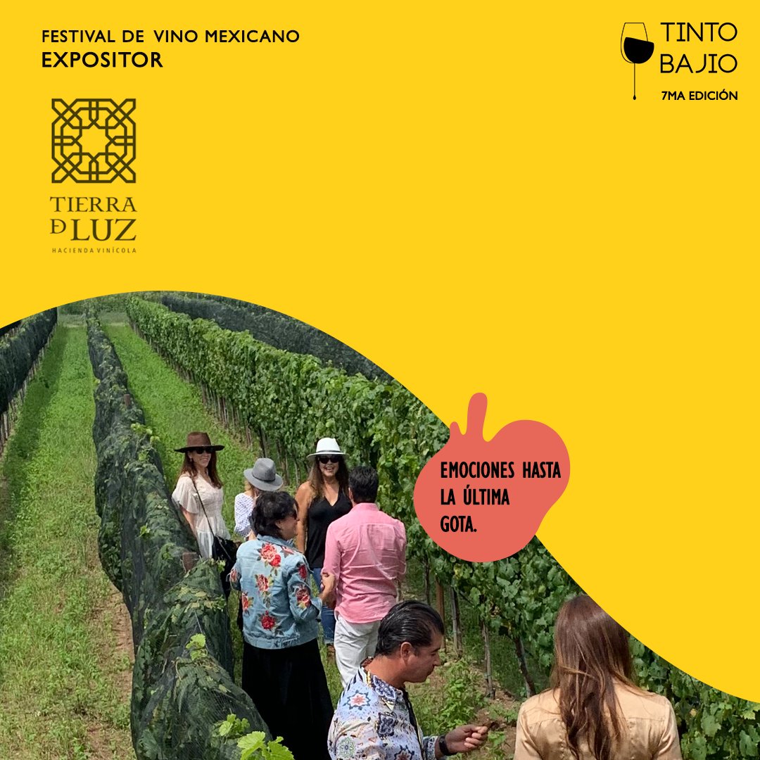 TintoBajio's tweet photo. 🍇🍷 Tierra de Luz Hacienda Vinícola  es un proyecto hecho con amor y en donde trabajamos con pasión. Por esto, apostamos por vinos de calidad, hechos con el respeto por el medio ambiente y el compromiso por la tierra.
Boletos en línea: https://t.co/LQysnv5EsL 👈 https://t.co/AcLwVy7dBd