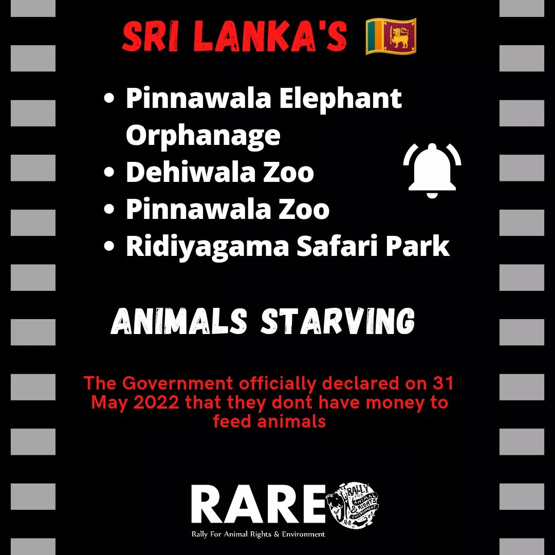 RARE Sri Lanka on Twitter "A nightmare good lesson for us Its time to