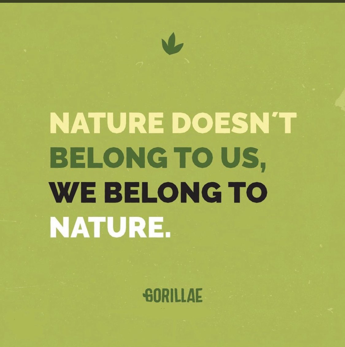 Why I am super #bullish on @GorillaeNFT 🧵a thread (1/?) 

#GorillaeGang #GreenChipNFT