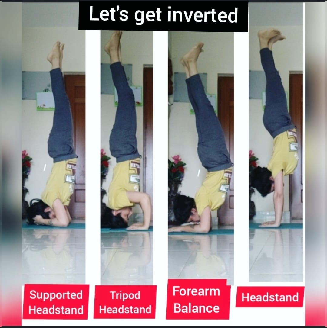 Monika48779734's tweet photo. Handstands work your core & improve balance while giving you the benefits of increased circulation and lymph flow. You'll engage your whole body while using your shoulders,... #tripodheadstand #forearmbalance #supportedhandstand #handstand
Video link 👇
https://t.co/uXYEb4FKqk https://t.co/s0F4j7EL7G
