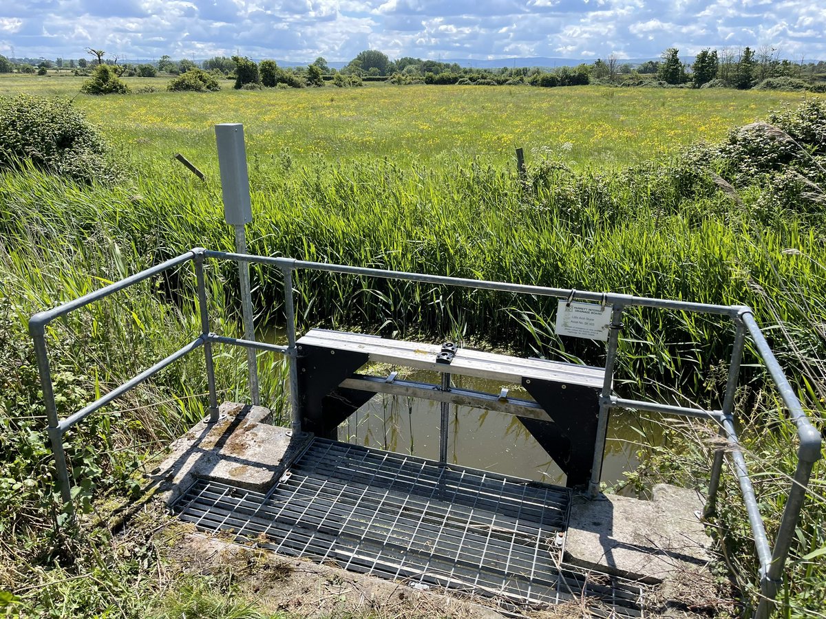 Phil Brewin tweet media