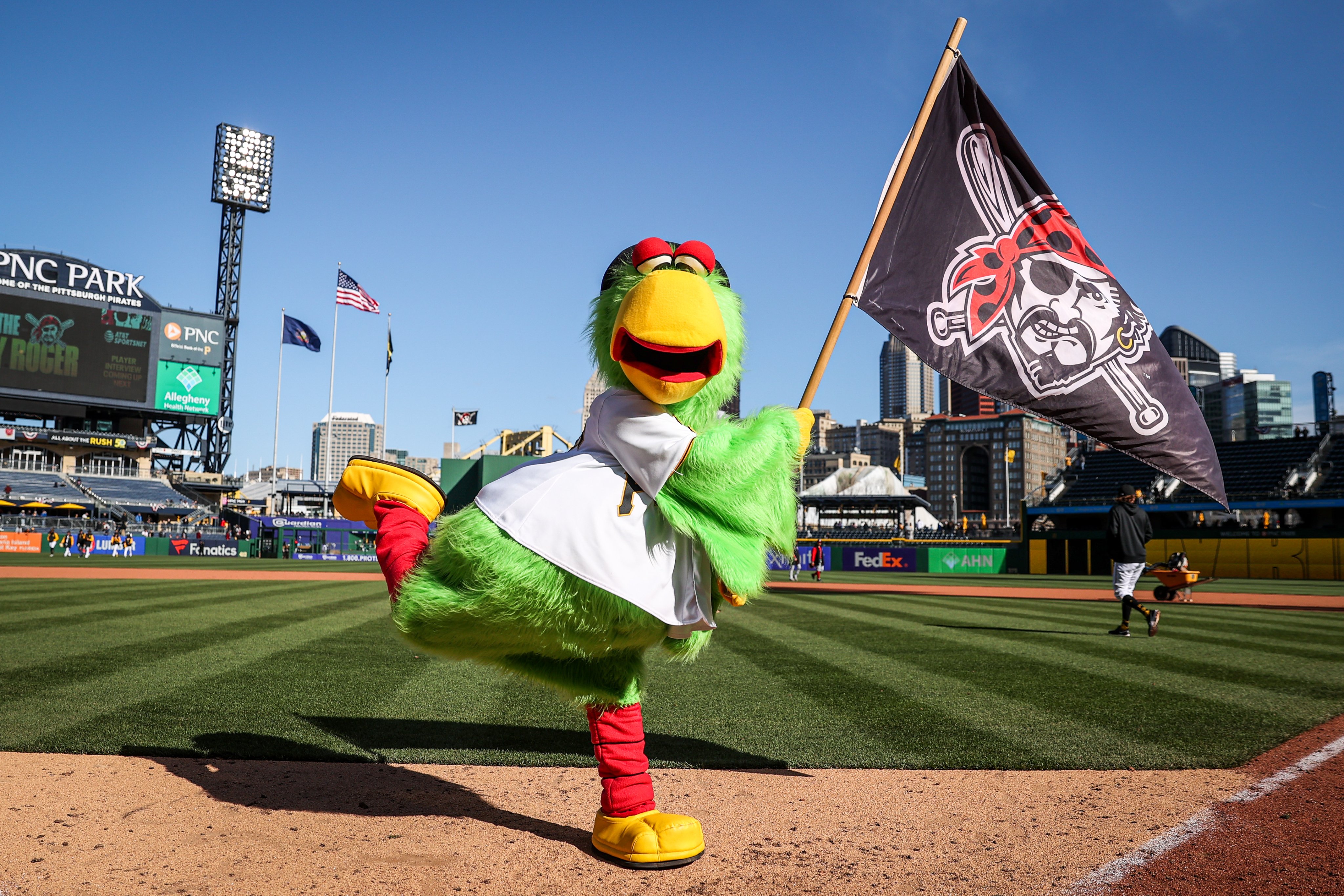 The Pirate Parrot (@Pirate_Parrot) / X