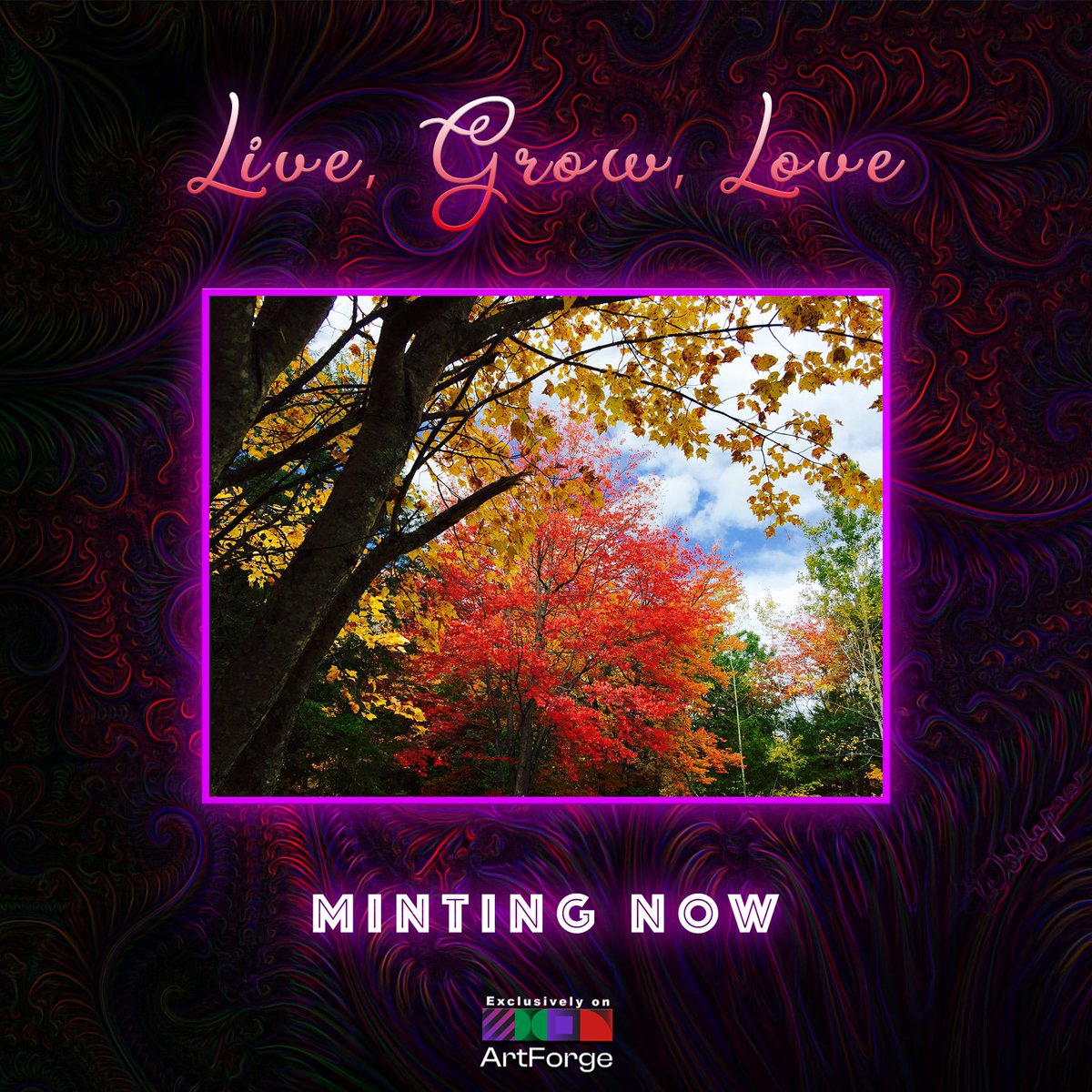 NEW DROP ALERT🔥

Live, Grow, Love- only 8 tokens available

Collection Size: 8
Mint Price: 8 XTZ

Live NOW! 🔥

Link: artforge.io/collections/li…

#Tez  #xtz #tezos  #CleanNFT  #BlockchainEvolved  #TezWhales #NFT #ArtForge