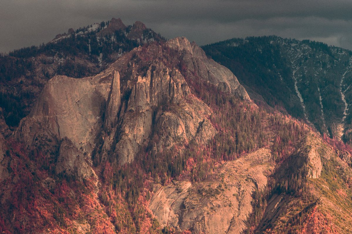 _burnsun_'s tweet photo. Textures from the Alpine https://t.co/afSAnKXQx9