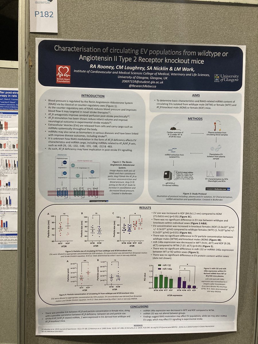 Work Research group (@teamworkstroke) on Twitter photo Please do come visit poster P126 to see <a href="/ZachBlaikie/">Zach Blaikie</a> work on cerebral consequences of #NOX5 overexpression & P182 for @ResearchRebecca poster on characterising #EVs in AT2R knockout mice. They’d love to talk to you about their #PhD 🤩 #BRAIN2022 Please do come visit poster P126 to see <a href="/ZachBlaikie/">Zach Blaikie</a> work on cerebral consequences of #NOX5 overexpression & P182 for @ResearchRebecca poster on characterising #EVs in AT2R knockout mice. They’d love to talk to you about their #PhD 🤩 #BRAIN2022