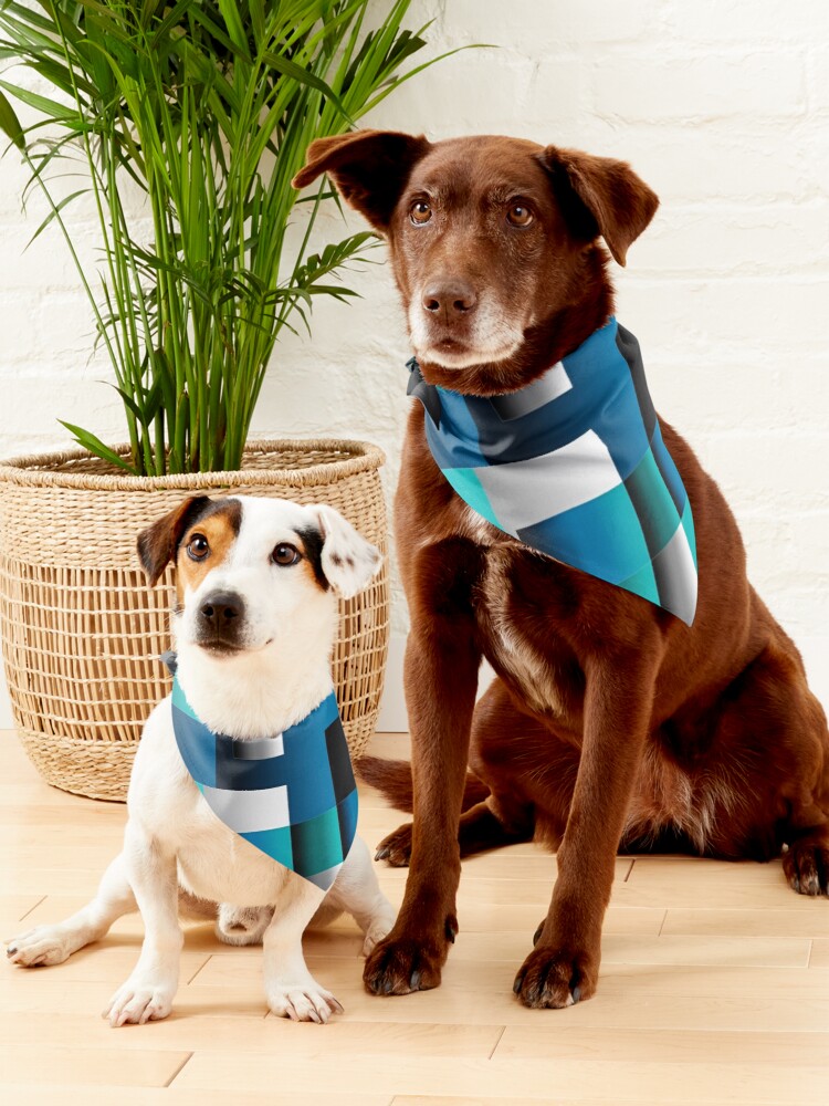 ArtworkSonias's tweet photo. Awesome Pet Bandanas available in my @Redbubble shop. Spoil your fur baby this summer.
https://t.co/aQ1EtWn9pc
#furbaby #cute #dogs #petbandanas #dogbandana #petfashion #petware #RBandMe #redbubble #redbubbleshop #redbubbleartist #geometricart #artistsontwitter #DogsofTwittter https://t.co/Kxo7k5A2nj