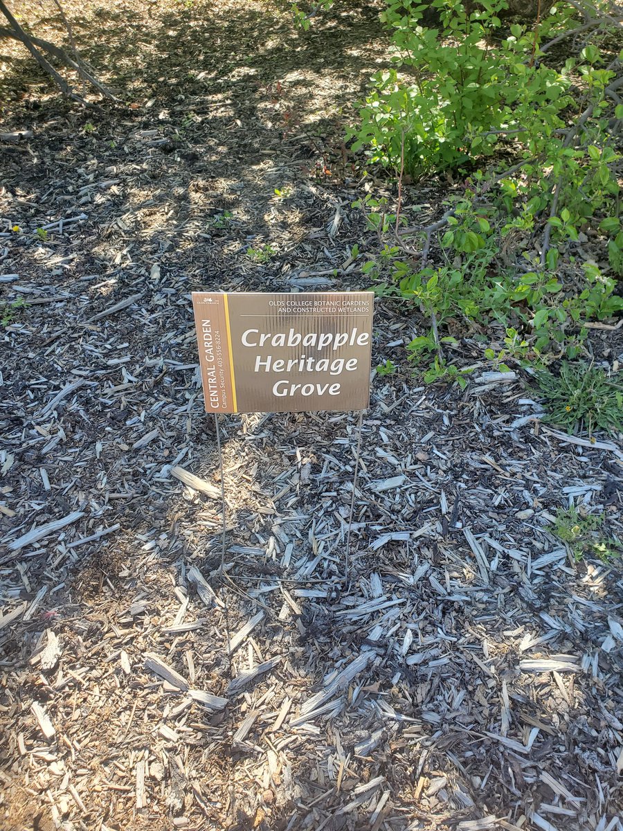 Christine Fulkerth tweet media